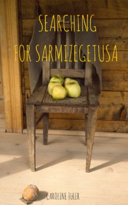 Searching for Sarmizegetusa