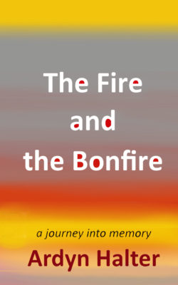 The Fire and the Bonfire, by Ardyn Halter