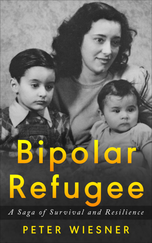 Bipolar Refugee